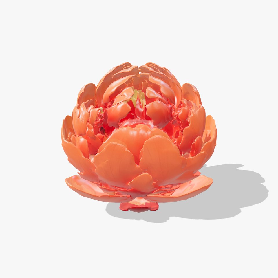 Coral Peony Soft Petals model pack